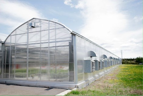 Green House UV Clear FILM